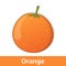 Cartoon Fruit - Sweet Orange or Tangerine
