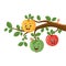 Cartoon funny apples with worms on a branch