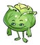 Cartoon Funny Cabbage character. Iceberg Lettuce illustration vector. Eco Food icon