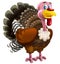 Cartoon funny cheerful turkey isolated illustration for children artistic painting style