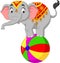Cartoon funny circus elephant balancing on ball