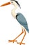 Cartoon funny crane bird on white background