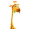 Cartoon funny giraffe. Vector illustration of african savanna giraffe smiling