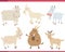 cartoon funny goats farm animal characters set