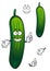 Cartoon funny green cucumber vegetable