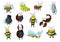 Cartoon funny insect animals characters