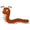 Cartoon funny millipede on white background