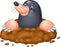 Cartoon funny mole