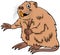 Cartoon funny nutria comic animal character