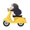 Cartoon funny penguin riding motorcycle