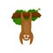 Cartoon funny sloth hang upside down from tree