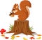 Cartoon funny squirrel holding pine cone on tree stump