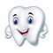 Cartoon funny tooth character posing