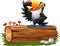 Cartoon funny toucan