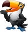 Cartoon funny toucan presenting