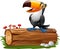 Cartoon funny toucan standing on tree log