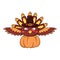 Cartoon funny turkey bird in a pilgrim hat carries a pumpkin for thanksgiving dinner.