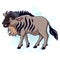 Cartoon funny wildebeest isolated on white background