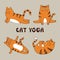 Cartoon funny yoga cat vector illustration. Yoga set for kids