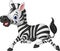 Cartoon funny zebra running isolated on white background