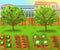 Cartoon garden with vegetables and fruit trees