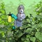 Cartoon gardener in a protective suit with a mask sprays plants