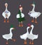 Cartoon Geese with Holiday Accessories Set. Vector