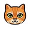 Cartoon ginger tabby cat face