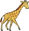 A cartoon Giraffe