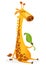 Cartoon giraffe character. Vector illustration funny giraffe eating a leaf and smiling