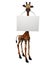 Cartoon giraffe holding blank sign.