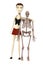 Cartoon girl with erectus skeleton