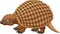 Cartoon glyptodont on white background