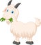 Cartoon goat eating grass