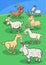 Cartoon goats farm animals group in the meadow