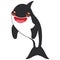 Cartoon grampus orca, killer whale, sea wolf Kawaii with pink cheeks and positive smiling on white background. Vector