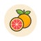 Cartoon grapefruit icon