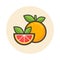 Cartoon grapefruit icon