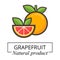 Cartoon grapefruit label vector