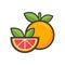 Cartoon grapefruit vector