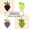 Cartoon grapes green and purple set with text