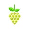 Cartoon grapes green vector