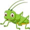 Cartoon grasshopper isolated on white background