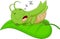 Cartoon grasshopper sleeping on a leaf