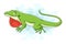 Cartoon green anole lizard on white background