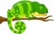 Cartoon green chameleon