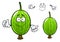 Cartoon green gooseberry fruit character