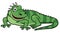 Cartoon green iguana