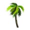 Cartoon green palm tree