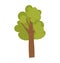 Cartoon green tree with thick brown trunk and dense foliage. Simplified nature design, summer or spring concept